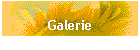 Galerie