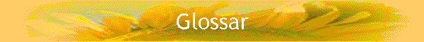 Glossar