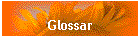 Glossar